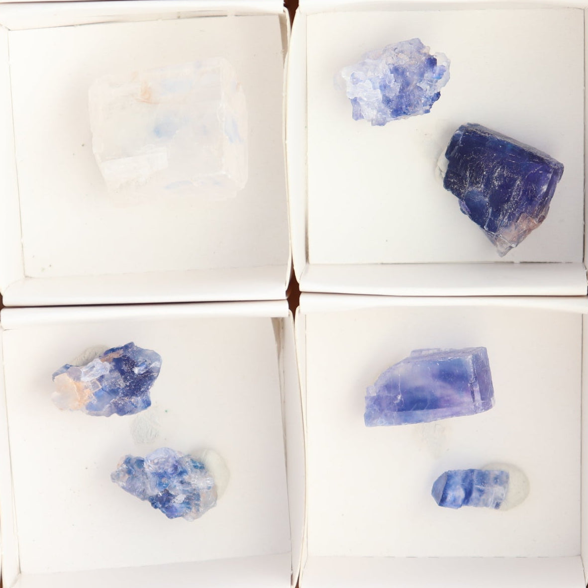 Canadian Blue Halite Rough Set of 17