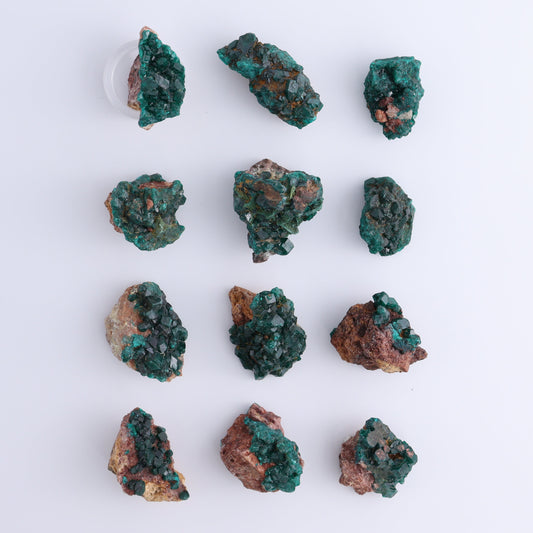 Dioptase Set of 12 - Expert Wholesale and Supplier of Wholesale Crystals & Bulk Gemstones, ["dioptase","Freeform","Freeforms"]