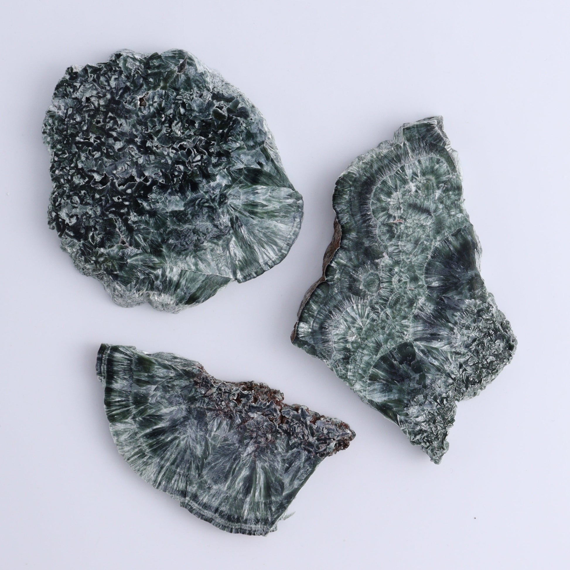 Seraphinite Slices Set of 12 - Expert Wholesale and Supplier of Wholesale Crystals & Bulk Gemstones, ["Seraphinite","Slices and Slabs"]