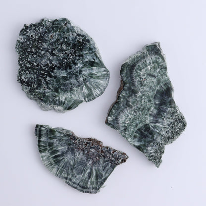 Seraphinite Slices Set of 12 - Expert Wholesale and Supplier of Wholesale Crystals & Bulk Gemstones, ["Seraphinite","Slices and Slabs"]