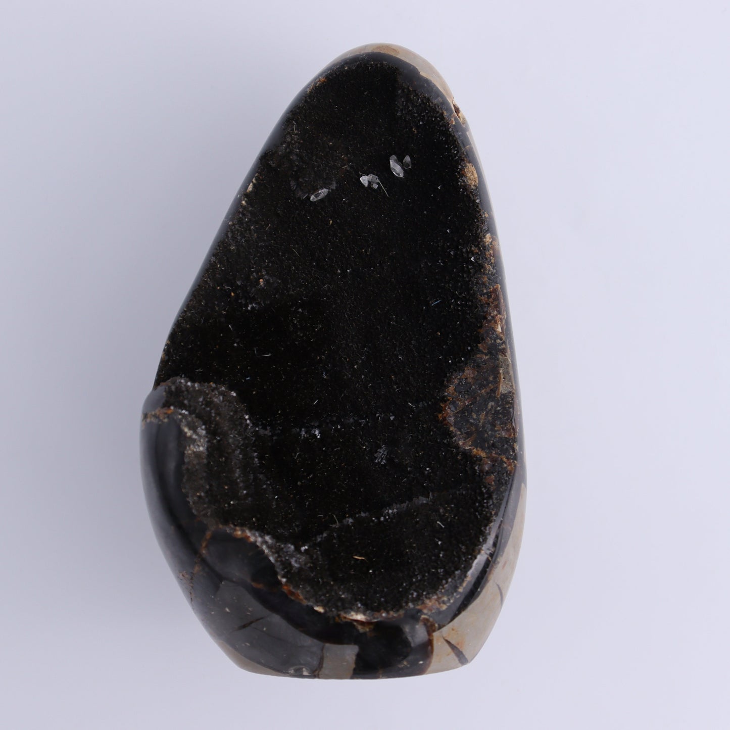 Septarian Cut Bases Set of 4 - Expert Wholesale and Supplier of Wholesale Crystals & Bulk Gemstones, ["Cut Base","Septarian"]