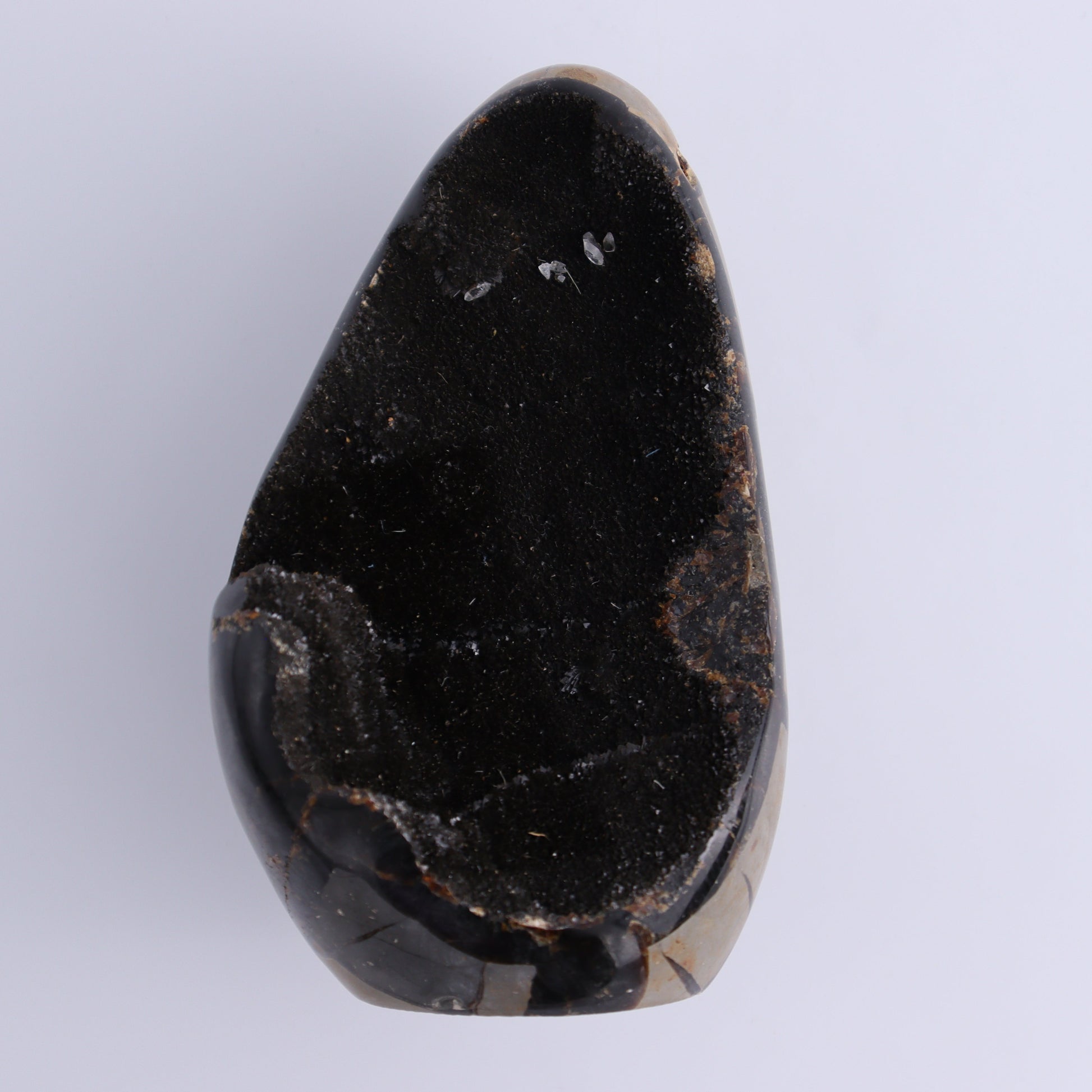 Septarian Cut Bases Set of 4 - Expert Wholesale and Supplier of Wholesale Crystals & Bulk Gemstones, ["Cut Base","Septarian"]