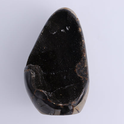 Septarian Cut Bases Set of 4 - Expert Wholesale and Supplier of Wholesale Crystals & Bulk Gemstones, ["Cut Base","Septarian"]