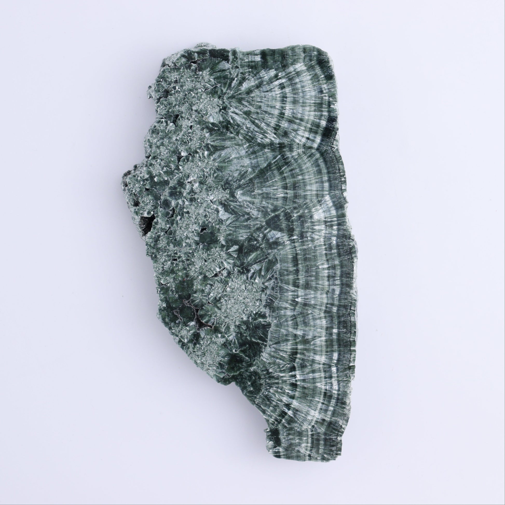 Seraphinite Slices Set of 4 - Expert Wholesale and Supplier of Wholesale Crystals & Bulk Gemstones, ["Russia","Seraphinite","Slices and Slabs"]
