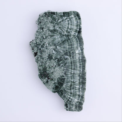 Seraphinite Slices Set of 4 - Expert Wholesale and Supplier of Wholesale Crystals & Bulk Gemstones, ["Russia","Seraphinite","Slices and Slabs"]