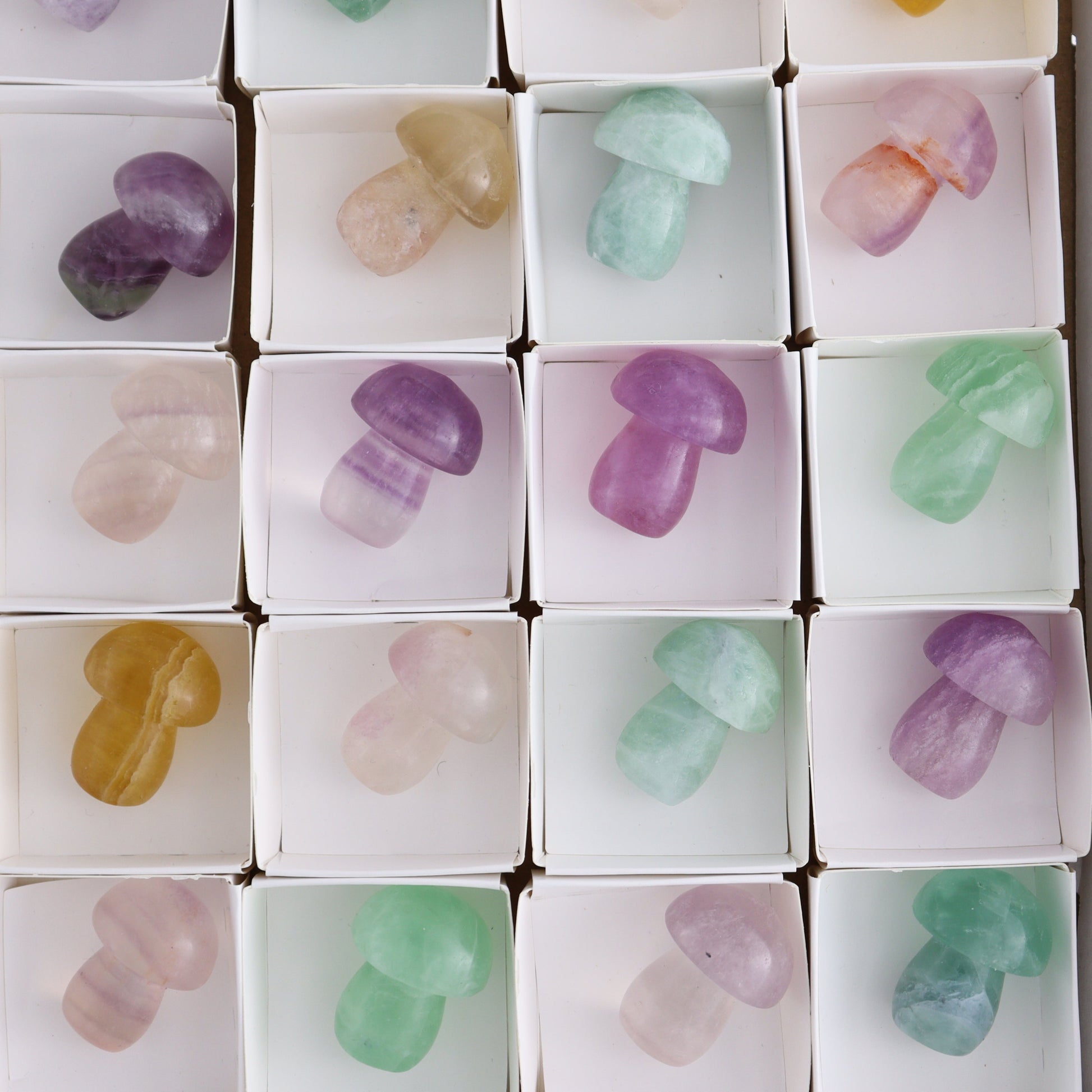 Fluorite Mushrooms Set of 24 - Expert Wholesale and Supplier of Wholesale Crystals & Bulk Gemstones, ["Fluorite","Mushrooms"]