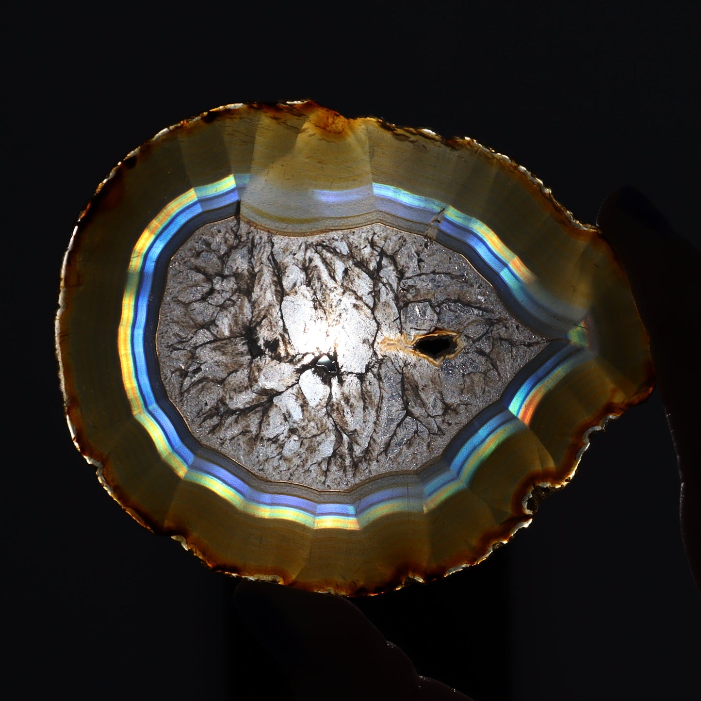 Iris Agate Slices Set of 5 - Expert Wholesale and Supplier of Wholesale Crystals & Bulk Gemstones, ["Agate","Iris Agate","Slices and Slabs"]