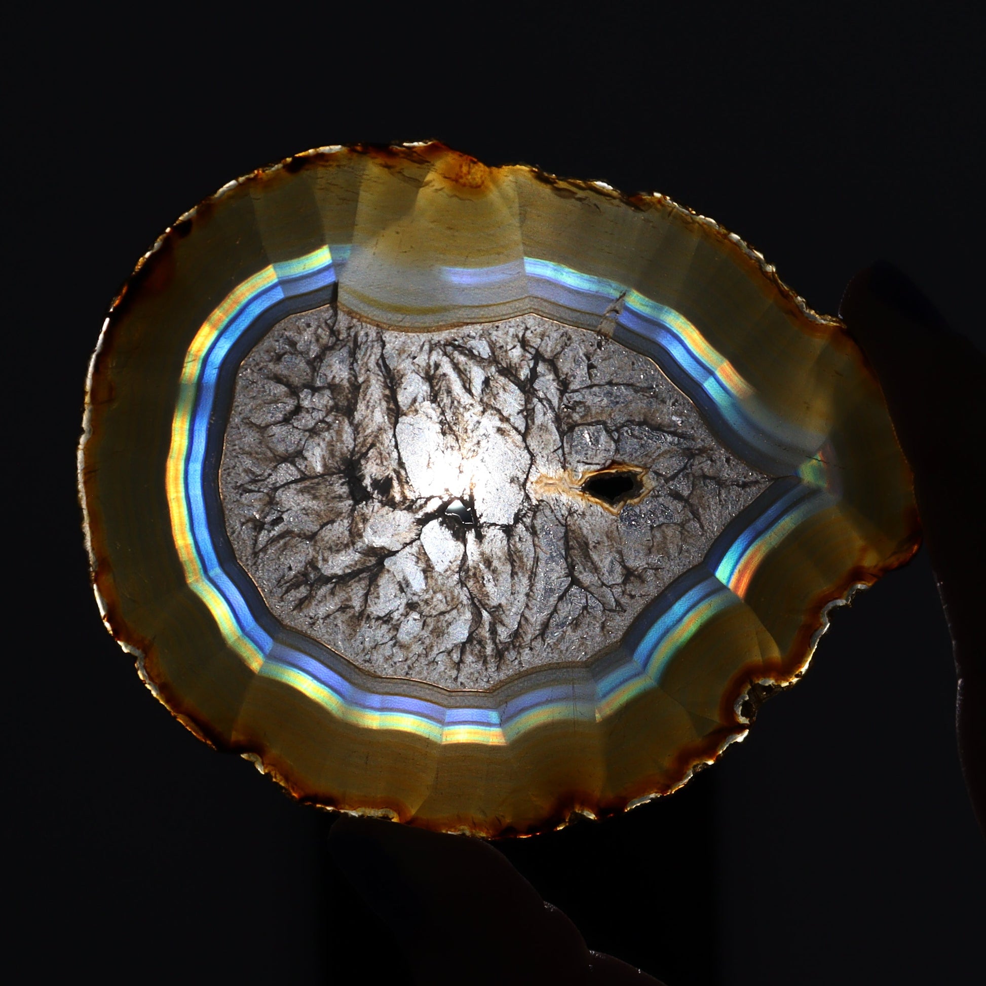 Iris Agate Slices Set of 5 - Expert Wholesale and Supplier of Wholesale Crystals & Bulk Gemstones, ["Agate","Iris Agate","Slices and Slabs"]