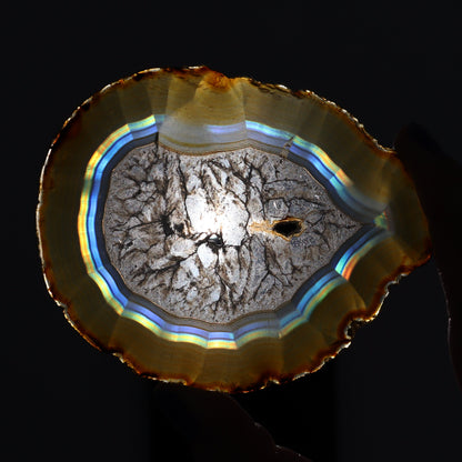 Iris Agate Slices Set of 5 - Expert Wholesale and Supplier of Wholesale Crystals & Bulk Gemstones, ["Agate","Iris Agate","Slices and Slabs"]