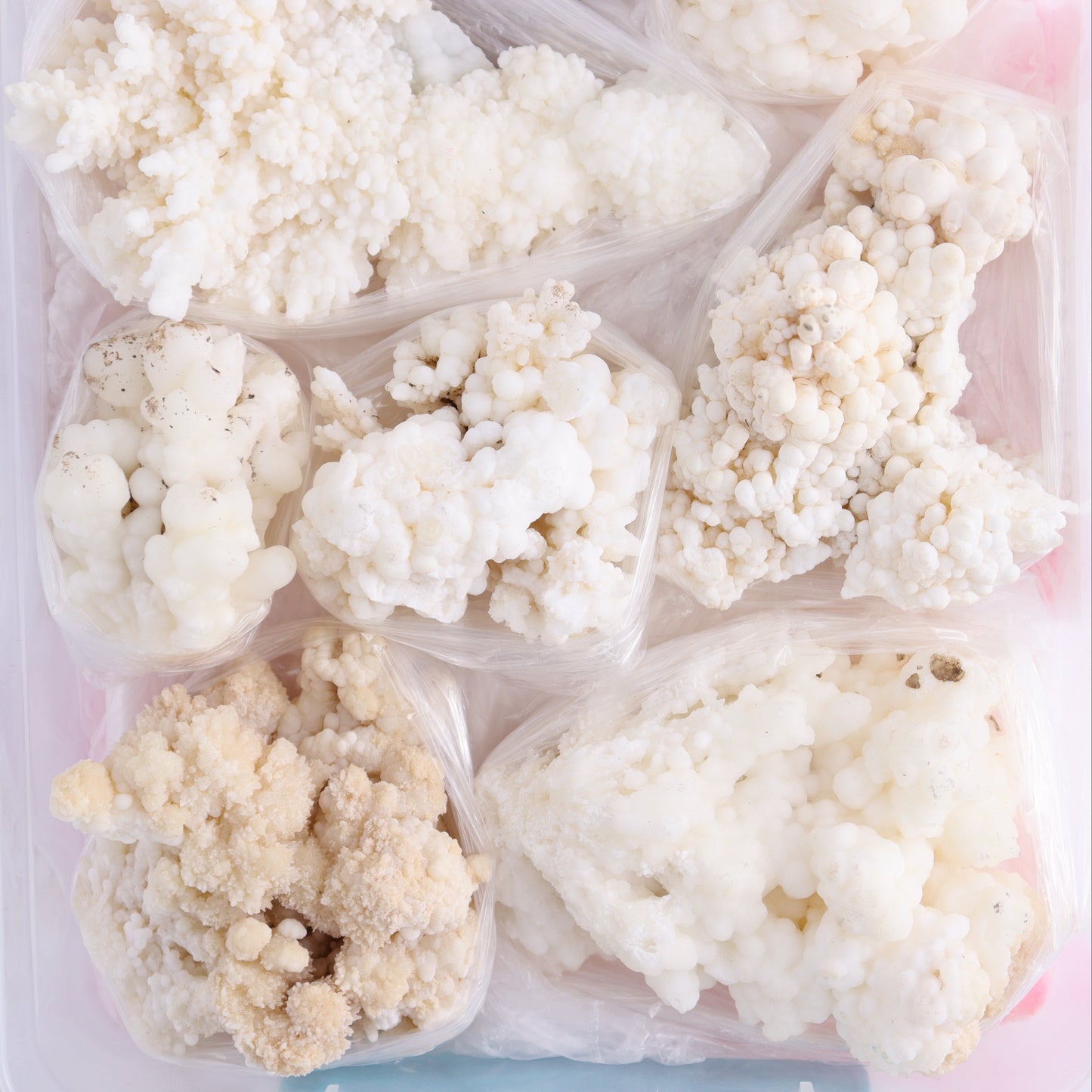 Calcite Aragnotie Flat from Morocco - Expert Wholesale and Supplier of Wholesale Crystals & Bulk Gemstones, ["aragonite","Calcite","Flats","Morocco"]