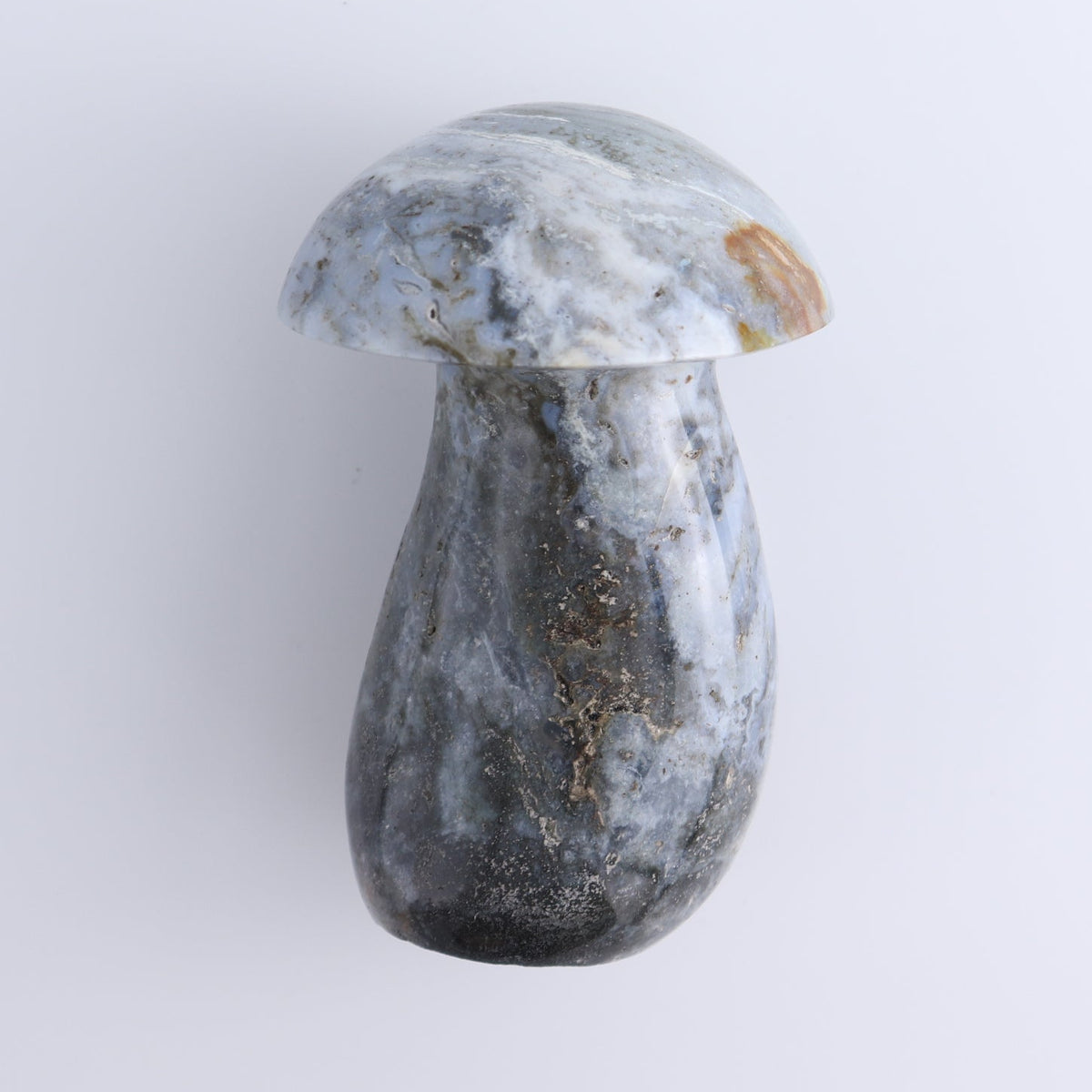 Jasper Mushrooms Set of 5