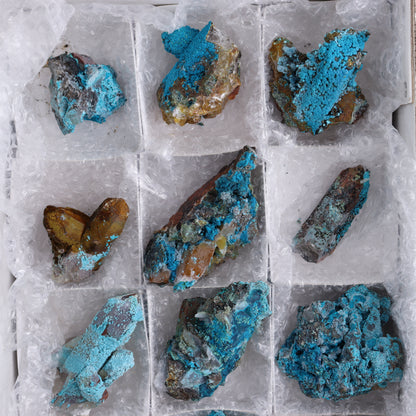 Chrysocolla on Quartz Roughs Set of 12