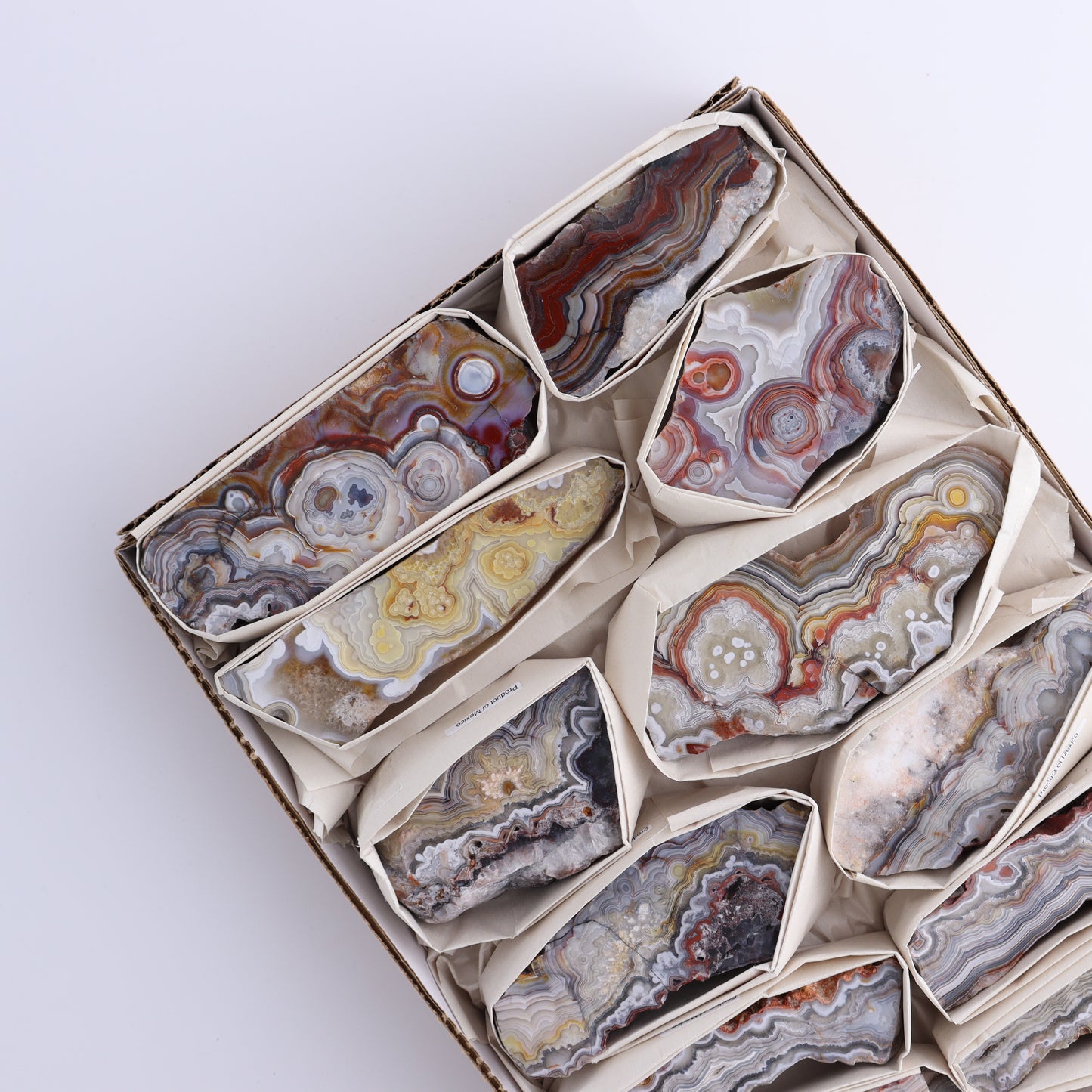 Crazy Lace Agate Flat of 12 - Expert Wholesale and Supplier of Wholesale Crystals & Bulk Gemstones, ["Crazy Lace Agate","Mexico"]