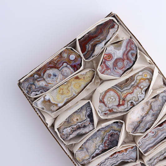 Crazy Lace Agate Flat of 12 - Expert Wholesale and Supplier of Wholesale Crystals & Bulk Gemstones, ["Crazy Lace Agate","Mexico"]