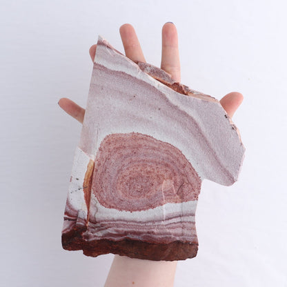 Rhyolite Slabs Set of 3