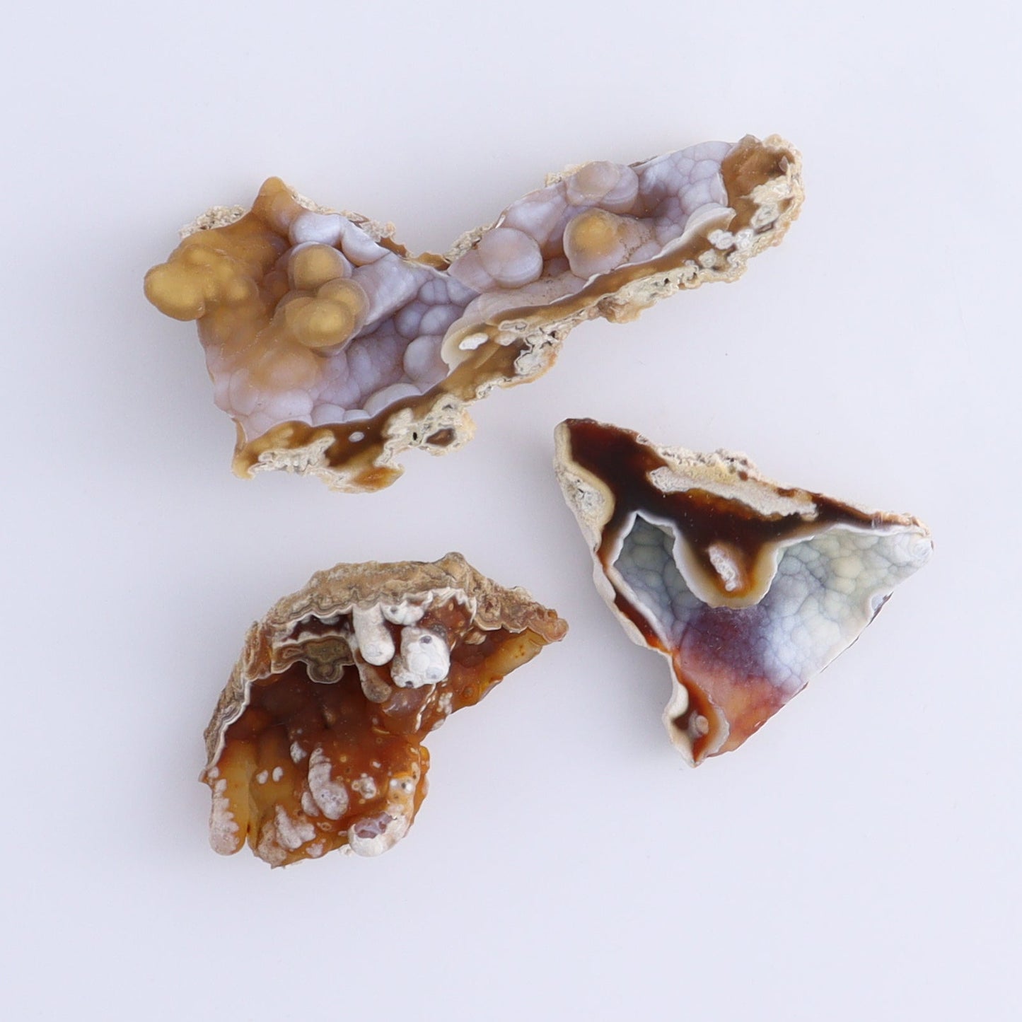 Agatized Coral Flat - Expert Wholesale and Supplier of Wholesale Crystals & Bulk Gemstones, ["Agate","Agatized Coral","Coral","United States"]