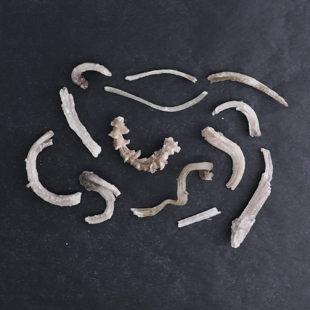 Rams Horn Selenite Flat