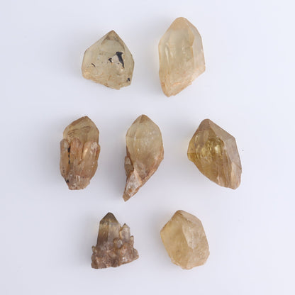 Citrine Roughs Set of 7