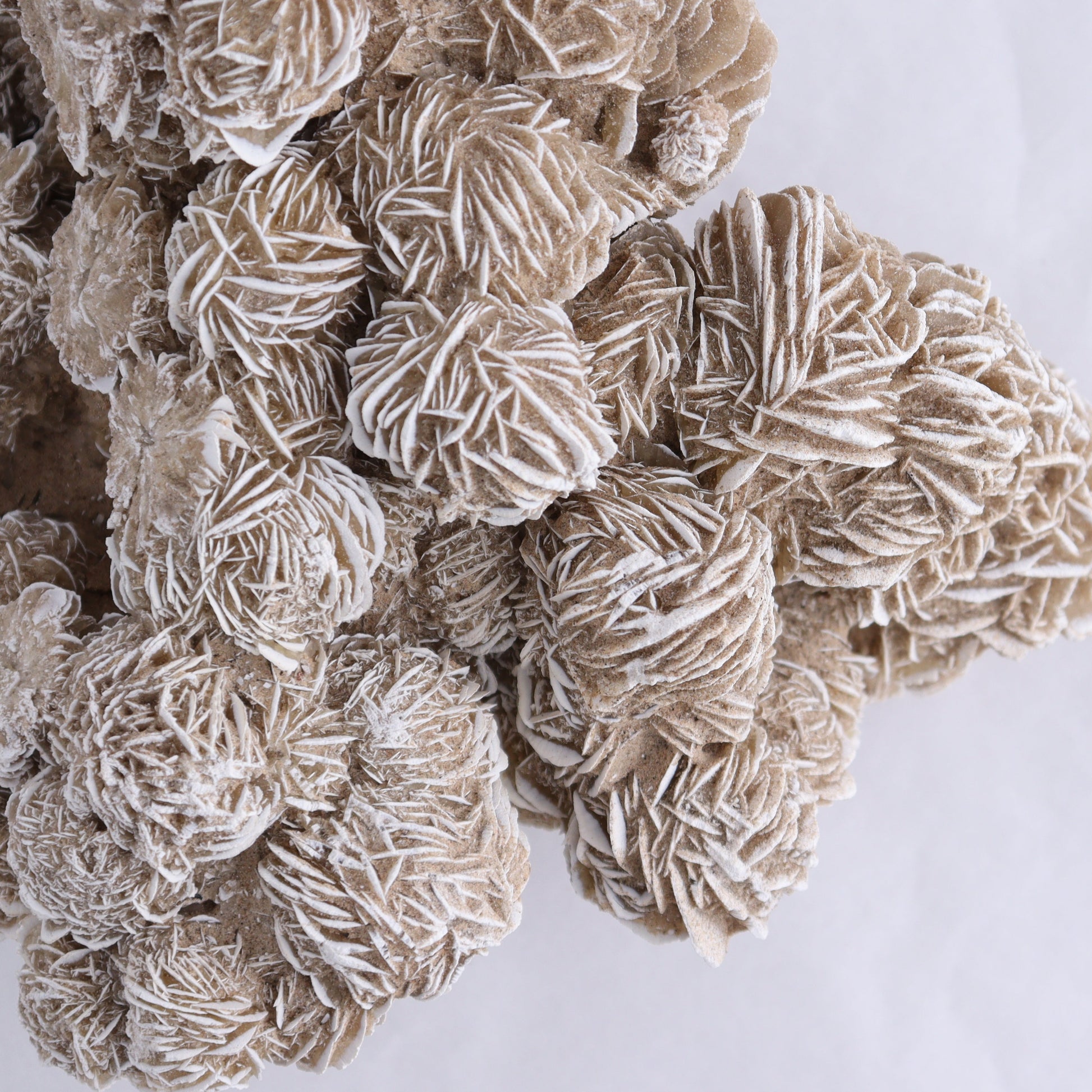 Desert Rose Cluster - Expert Wholesale and Supplier of Wholesale Crystals & Bulk Gemstones, ["Desert Rose","Freeforms"]
