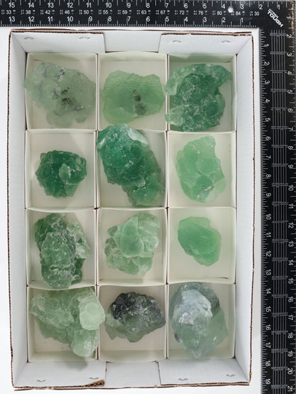 Fluorite Flat Set of 12