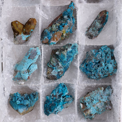 Chrysocolla on Quartz Roughs Set of 12