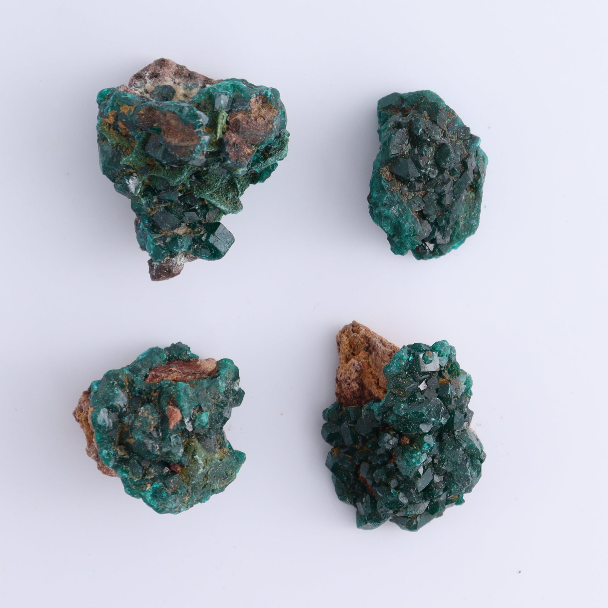 Dioptase Set of 12 - Expert Wholesale and Supplier of Wholesale Crystals & Bulk Gemstones, ["dioptase","Freeform","Freeforms"]