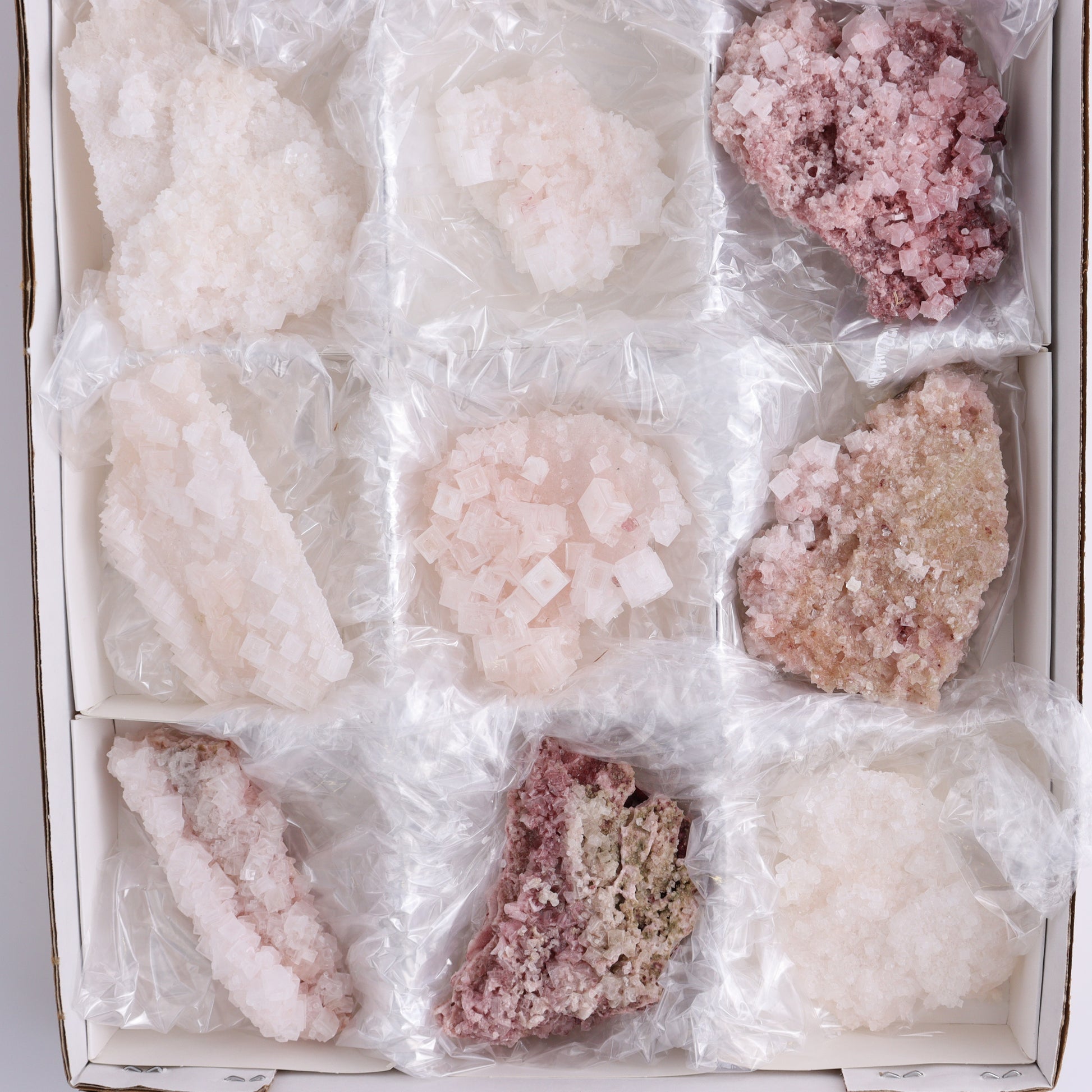 Pink Halite Set of 12 - Expert Wholesale and Supplier of Wholesale Crystals & Bulk Gemstones, ["Flats","Halite","Pink Halite","United States"]