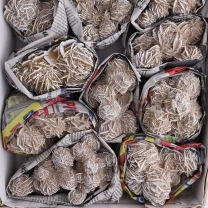 Desert Rose Set of 12 - Expert Wholesale and Supplier of Wholesale Crystals & Bulk Gemstones, ["Desert Rose","Freeforms","Morocco"]