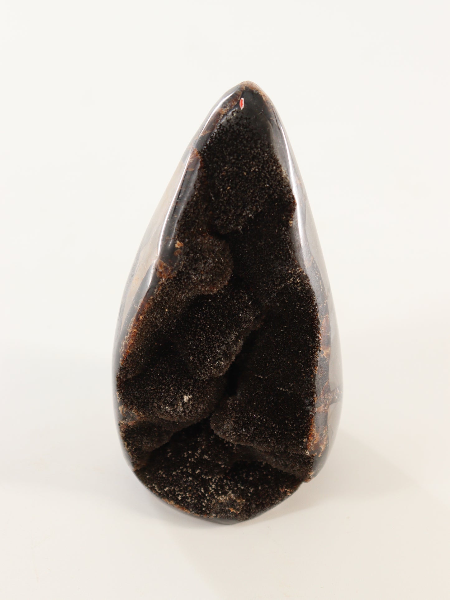 Septarian Cut Bases Set of 4 - Expert Wholesale and Supplier of Wholesale Crystals & Bulk Gemstones, []