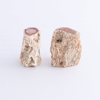 Petrified Wood Cut Bases Set of 10 - Expert Wholesale and Supplier of Wholesale Crystals & Bulk Gemstones, ["Cut Base","Petrified Wood"]