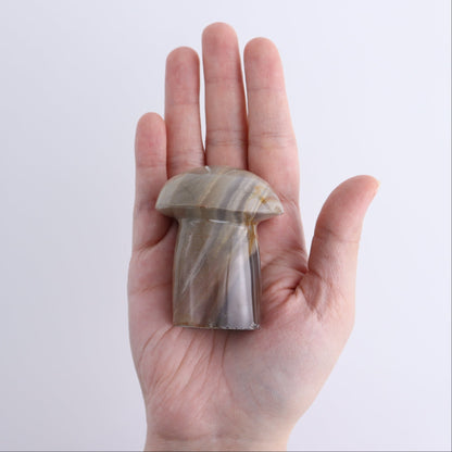 Jasper Mushrooms Set of 8
