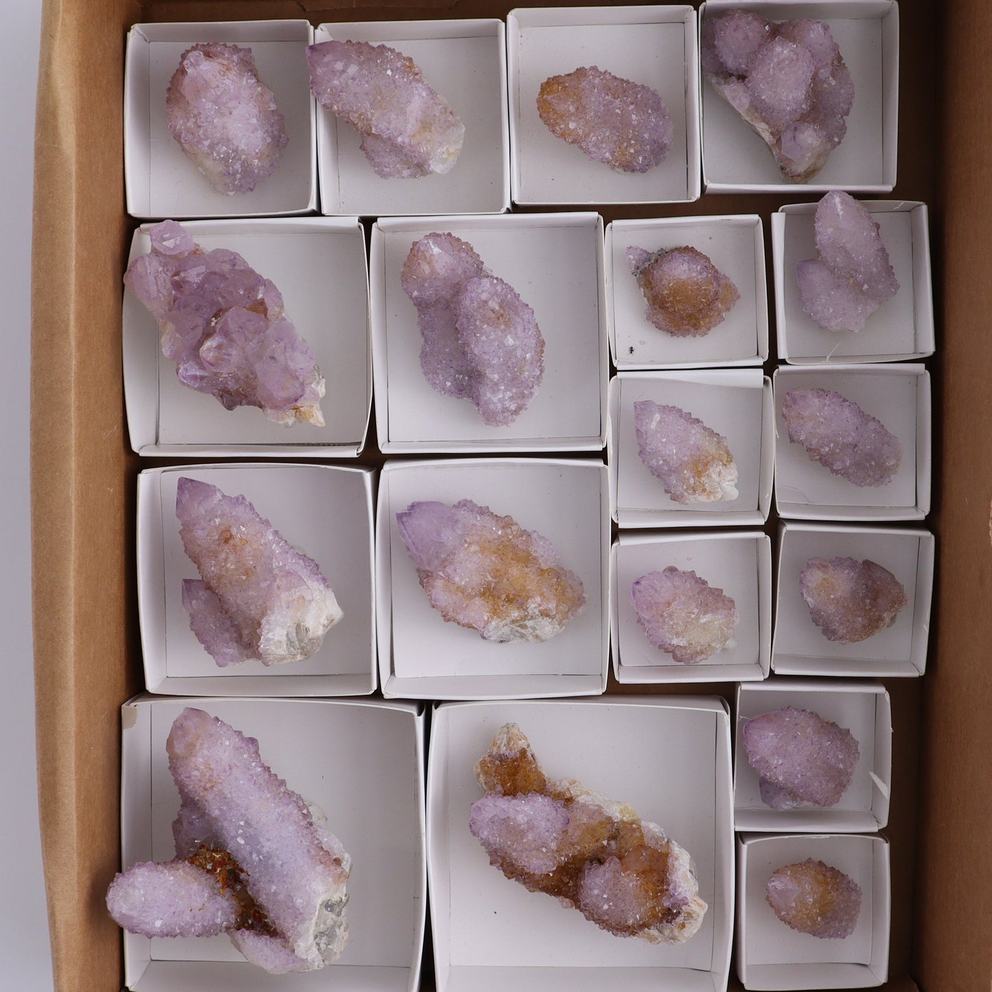 Cactus Quartz Set of 18 - Expert Wholesale and Supplier of Wholesale Crystals & Bulk Gemstones, ["cactus quartz","Quartz","South Africa"]