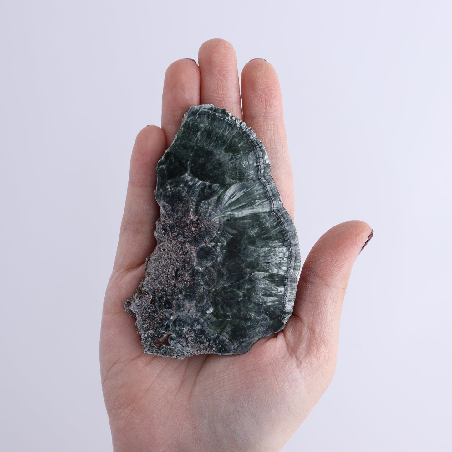 Seraphinite Slices Set of 12 - Expert Wholesale and Supplier of Wholesale Crystals & Bulk Gemstones, ["Seraphinite","Slices and Slabs"]