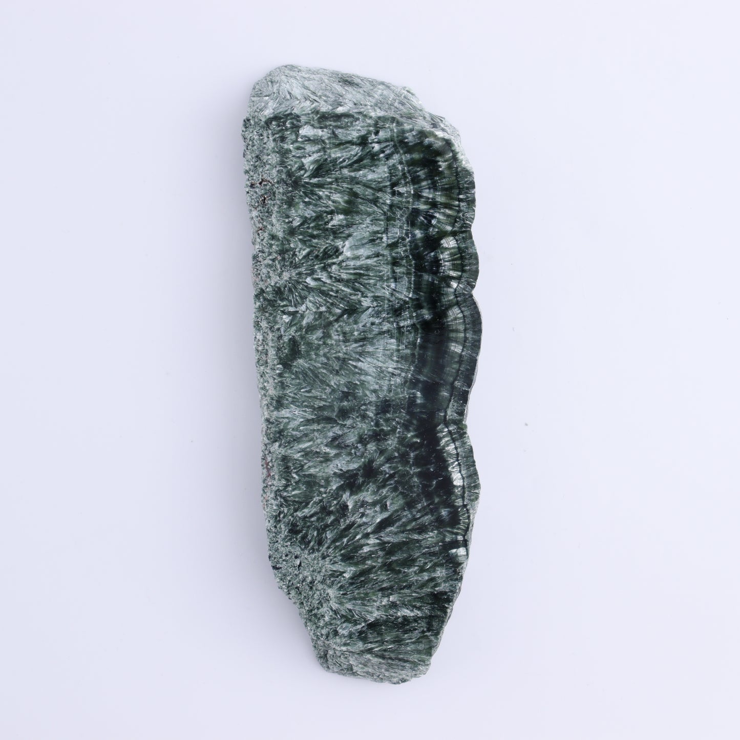Seraphinite Slices Set of 4 - Expert Wholesale and Supplier of Wholesale Crystals & Bulk Gemstones, ["Russia","Seraphinite","Slices and Slabs"]