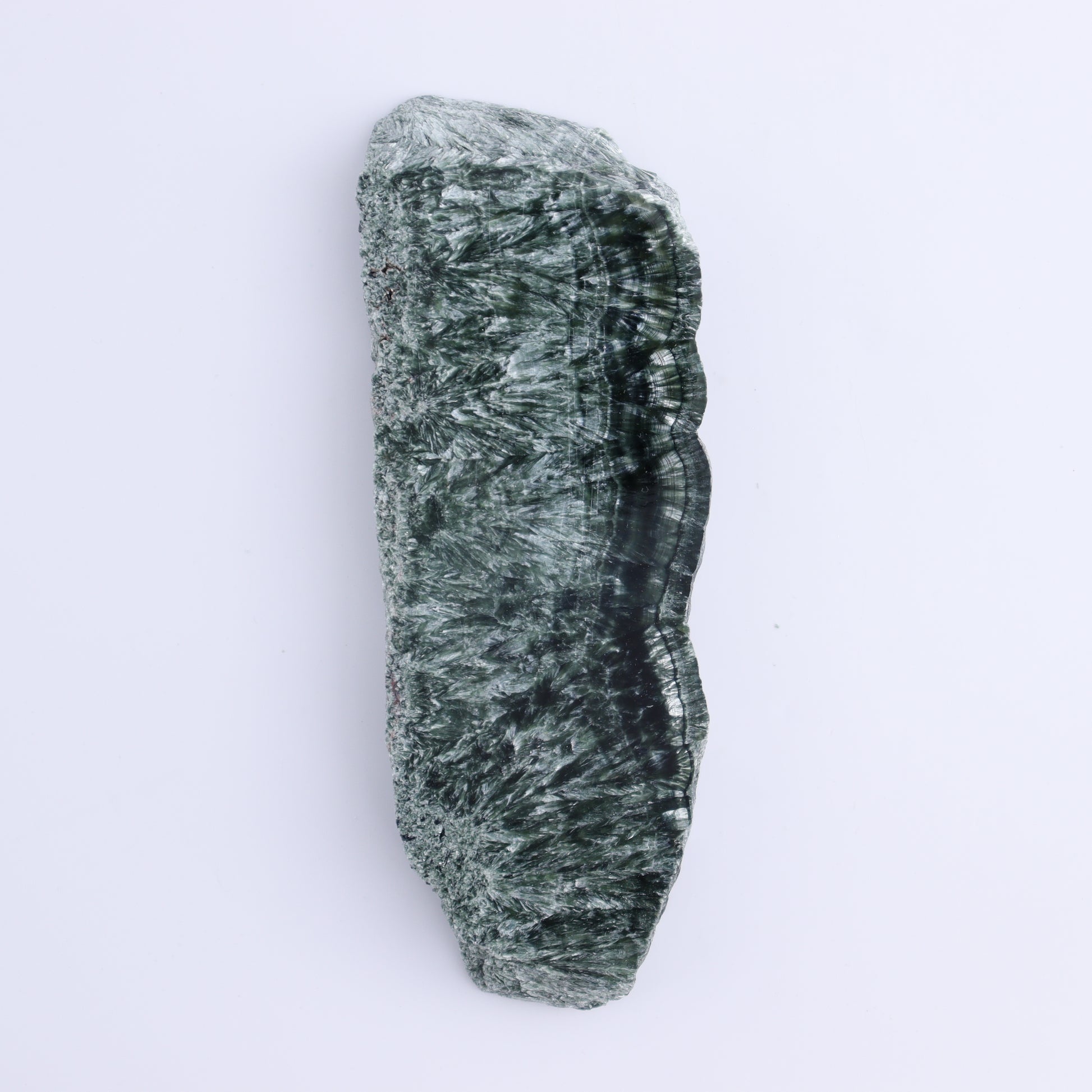 Seraphinite Slices Set of 4 - Expert Wholesale and Supplier of Wholesale Crystals & Bulk Gemstones, ["Russia","Seraphinite","Slices and Slabs"]