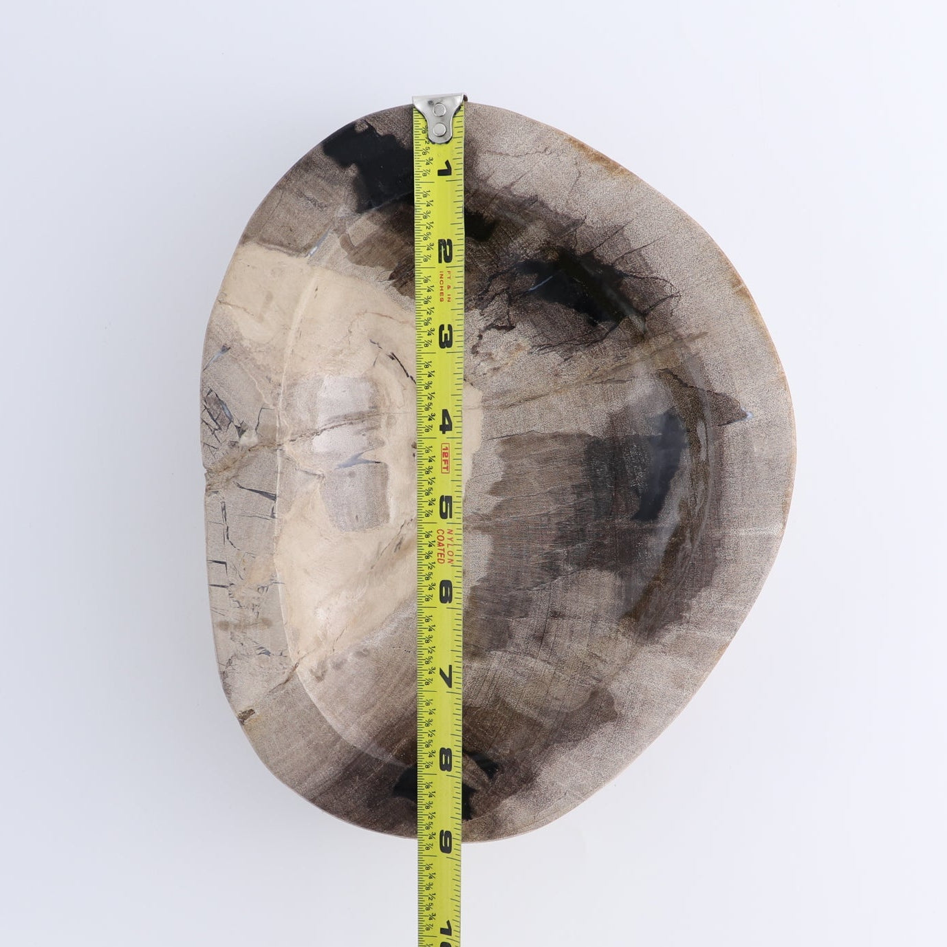 One Petrified Wood Black & Beige Polished Bowl