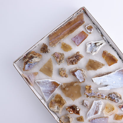 Agatized Coral Flat - Expert Wholesale and Supplier of Wholesale Crystals & Bulk Gemstones, ["Agate","Agatized Coral","Coral","United States"]