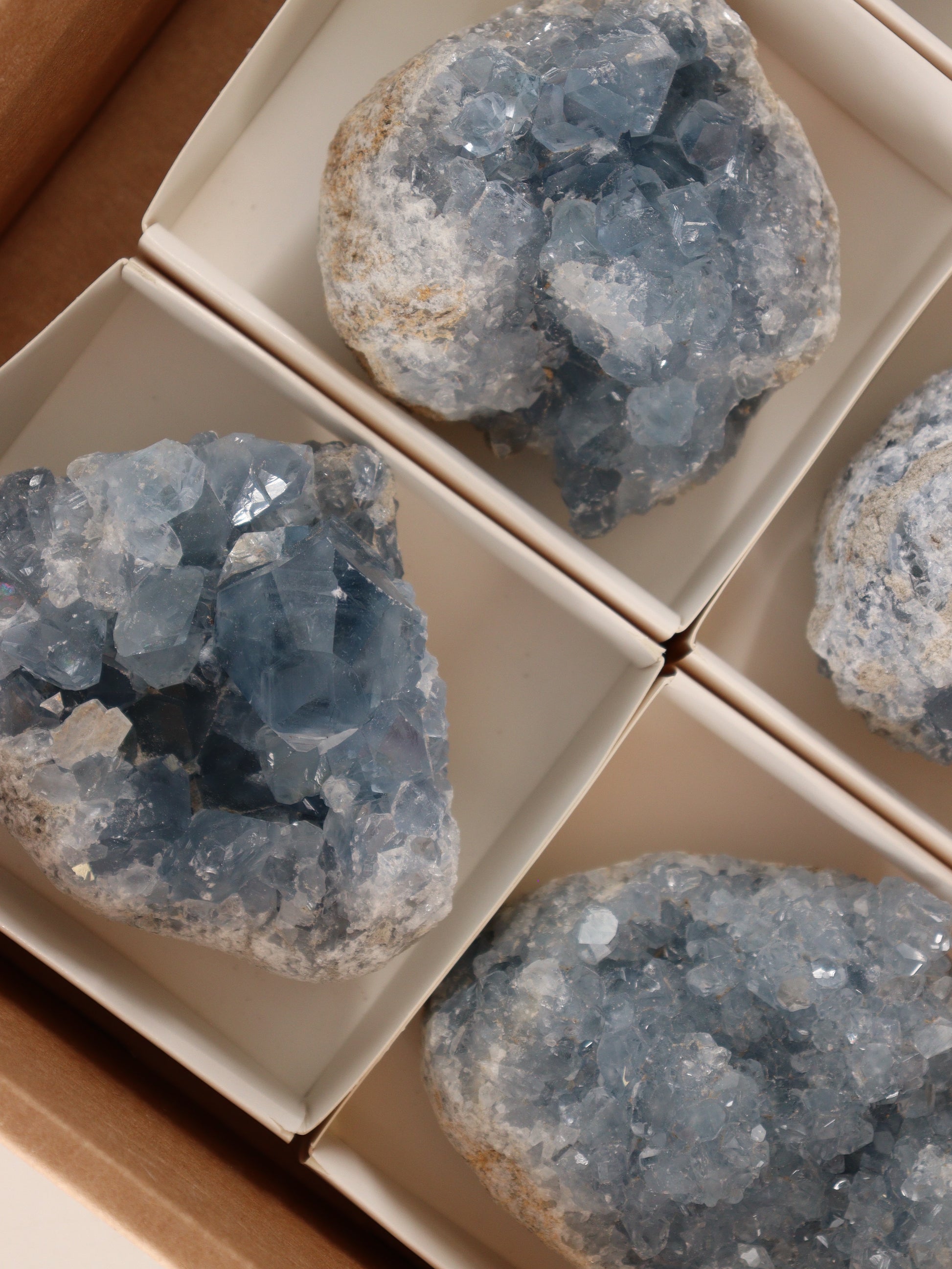 Celestite Clusters Set of 6 - Expert Wholesale and Supplier of Wholesale Crystals & Bulk Gemstones, []