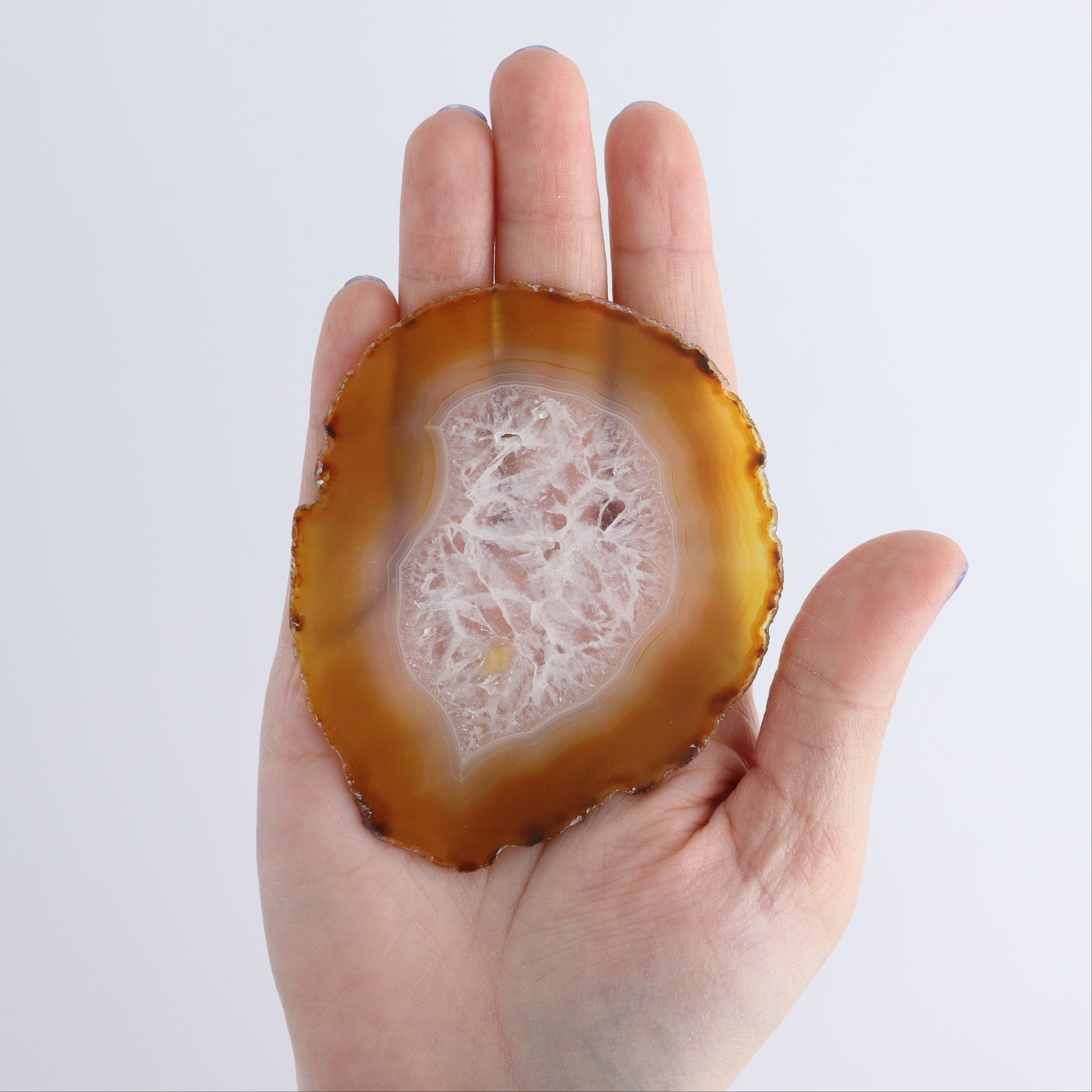 Iris Agate Slices Set of 5 - Expert Wholesale and Supplier of Wholesale Crystals & Bulk Gemstones, ["Agate","Iris Agate","Slices and Slabs"]