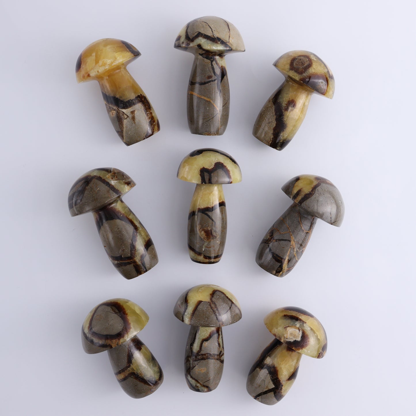 Septarian Mushrooms Set of 9 - Expert Wholesale and Supplier of Wholesale Crystals & Bulk Gemstones, ["Mushrooms","Septarian"]
