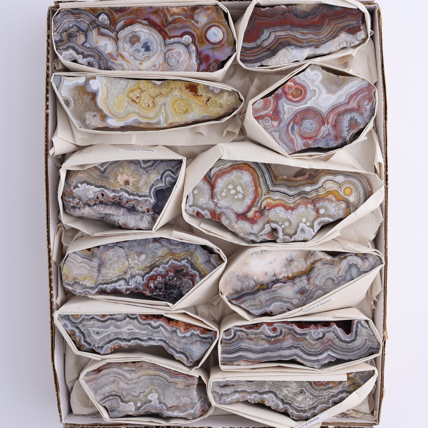 Crazy Lace Agate Flat of 12 - Expert Wholesale and Supplier of Wholesale Crystals & Bulk Gemstones, ["Crazy Lace Agate","Mexico"]