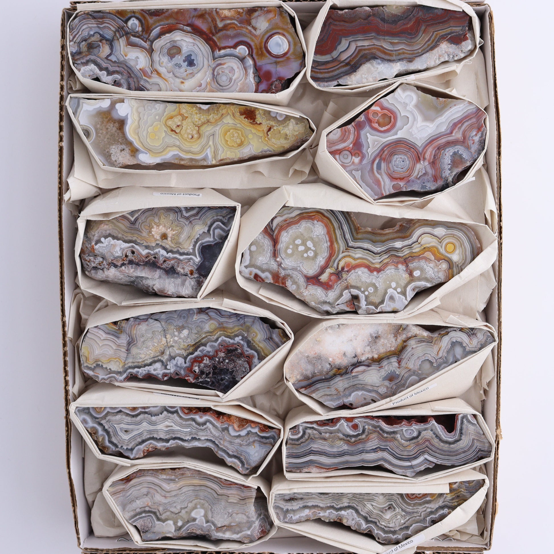 Crazy Lace Agate Flat of 12 - Expert Wholesale and Supplier of Wholesale Crystals & Bulk Gemstones, ["Crazy Lace Agate","Mexico"]