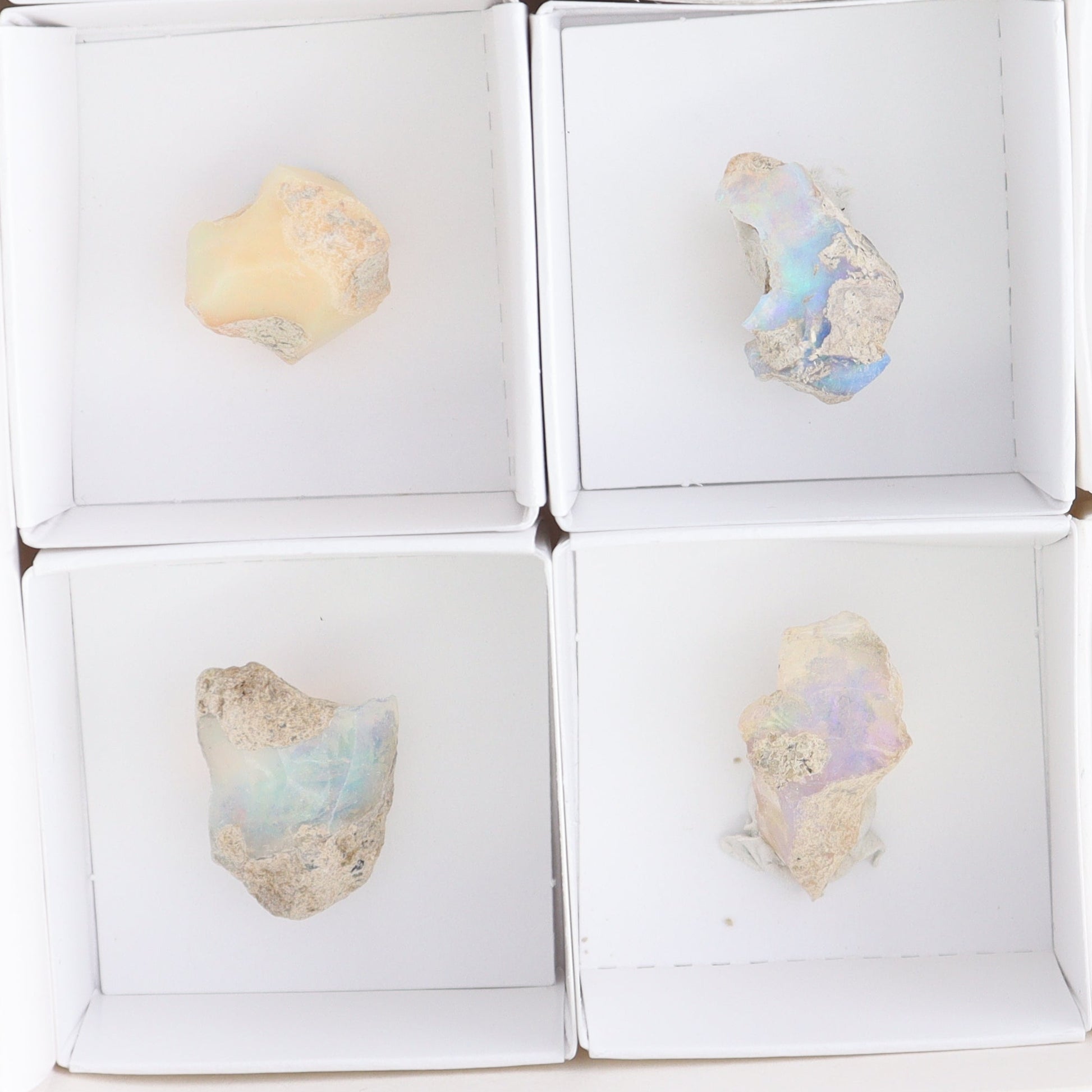 Ethiopian Opal Set of 10 - Expert Wholesale and Supplier of Wholesale Crystals & Bulk Gemstones, ["Ethiopia","ethiopian opal","Opal"]