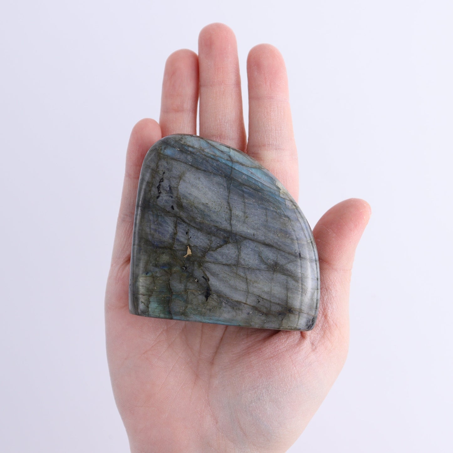 Labradorite Freeform Set of 6