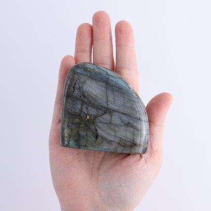 Labradorite Freeform Set of 6