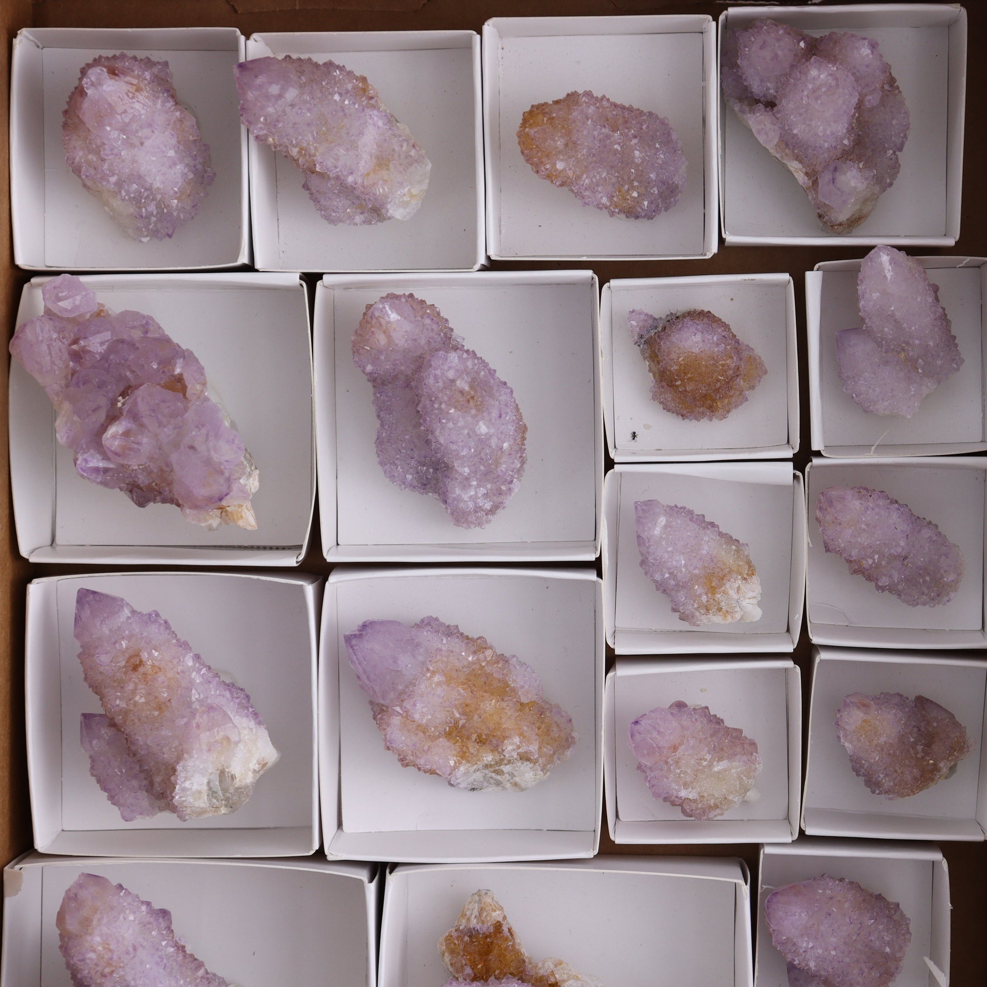 Cactus Quartz Set of 18 - Expert Wholesale and Supplier of Wholesale Crystals & Bulk Gemstones, ["cactus quartz","Quartz","South Africa"]