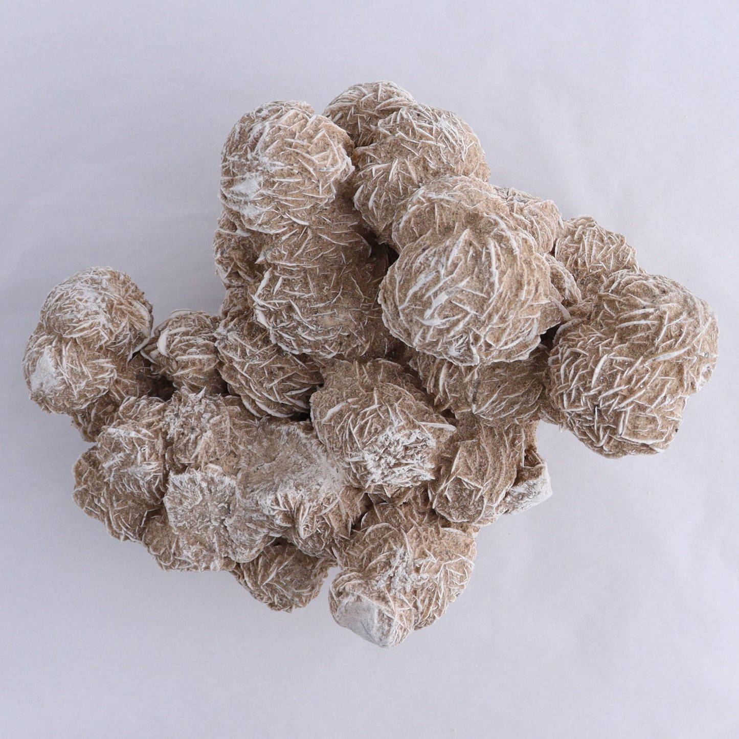 Desert Rose Cluster - Expert Wholesale and Supplier of Wholesale Crystals & Bulk Gemstones, ["Desert Rose","Freeforms"]
