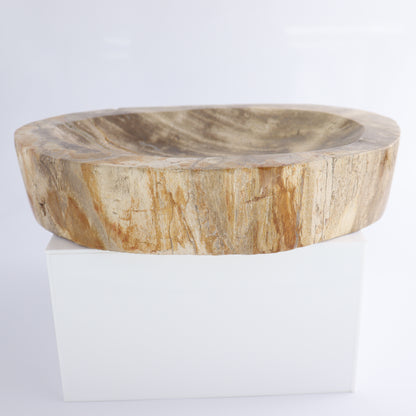 Bowl Petrified Wood - Expert Wholesale and Supplier of Wholesale Crystals & Bulk Gemstones, ["Bowls","Indonesia","Petrified Wood"]