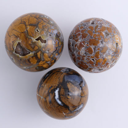 Brecciated Jasper Spheres Set of 6 - Expert Wholesale and Supplier of Wholesale Crystals & Bulk Gemstones, ["Brecciated Jasper","Indonesia","Spheres"]