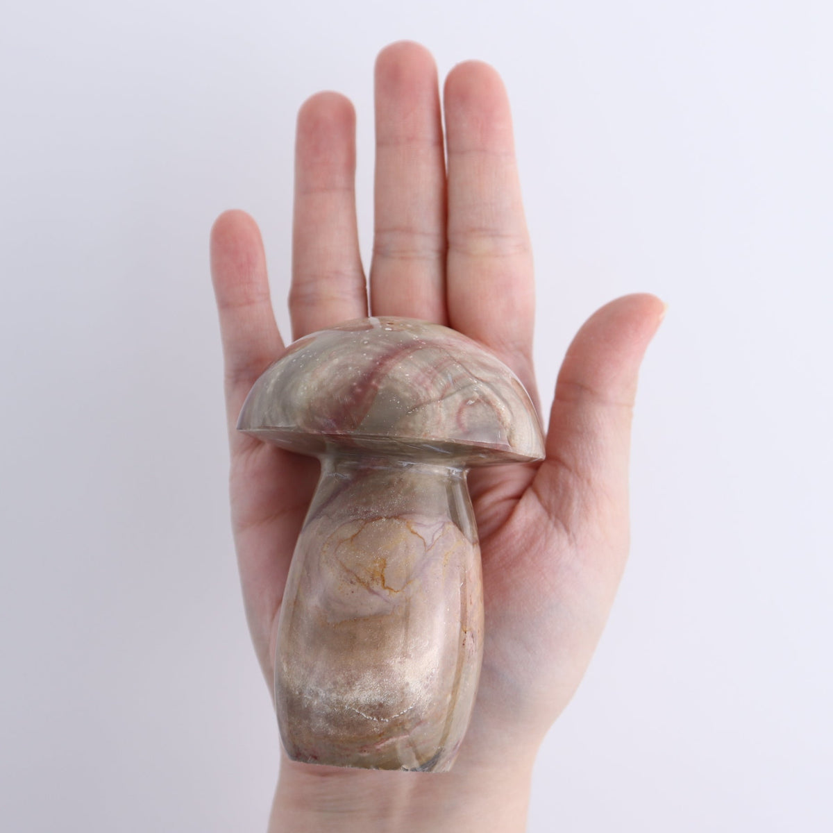 Jasper Mushrooms Set of 8